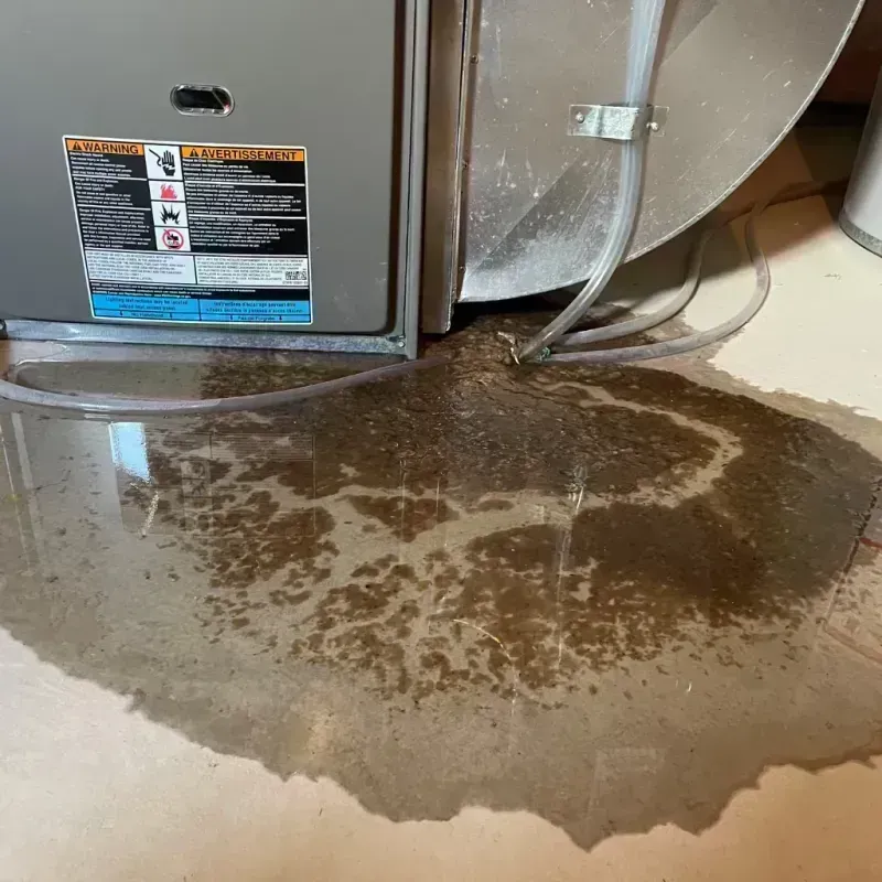 Appliance Leak Cleanup in Lipscomb County, TX